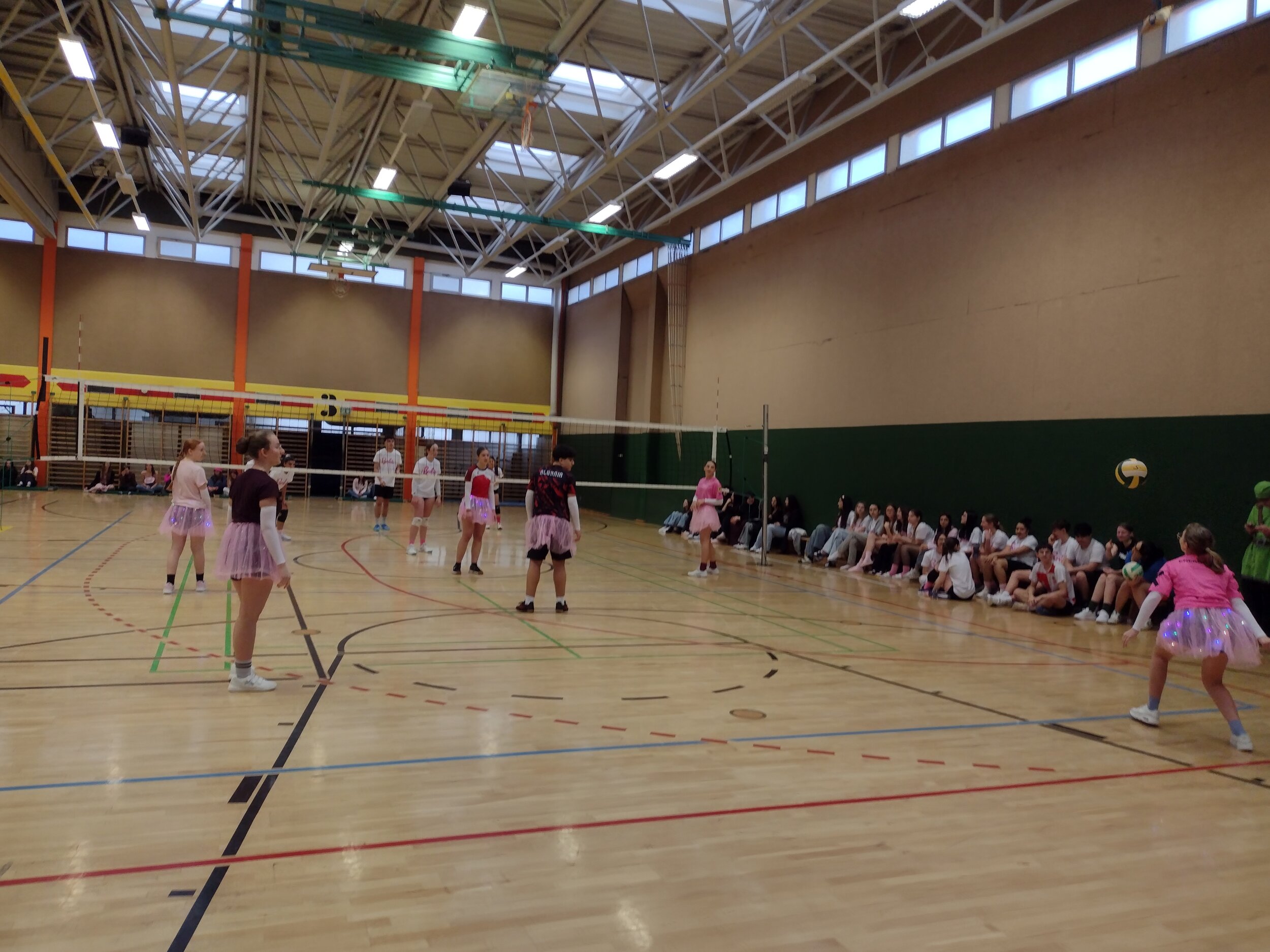 IMG_20260213_090323706